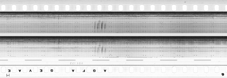 FR751142302_RDN_S_0306_1980_0317 PNG