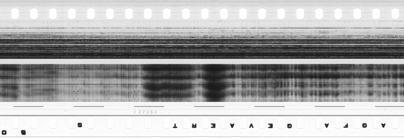 FR751142302_RDN_S_0307_1980_0032 PNG