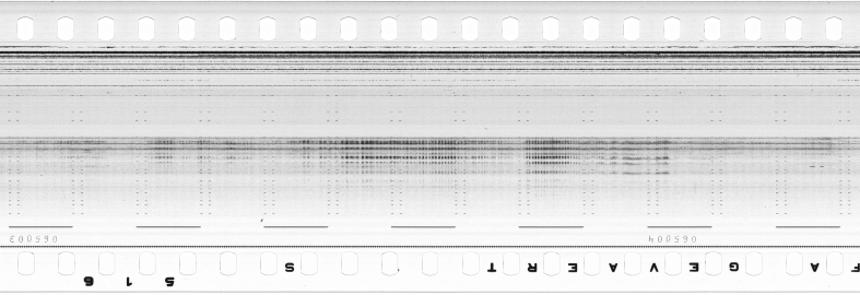 FR751142302_RDN_S_0308_1980_0184 PNG
