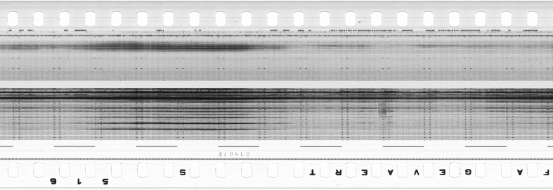 FR751142302_RDN_S_0309_1980_0270 PNG