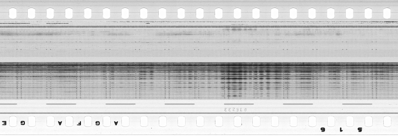 FR751142302_RDN_S_0310_1980_0031 PNG