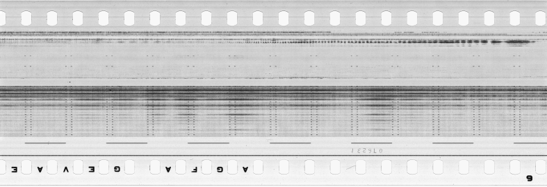 FR751142302_RDN_S_0310_1980_0088 PNG