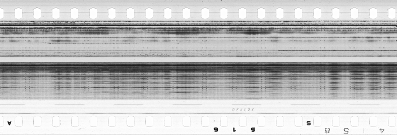 FR751142302_RDN_S_0310_1980_0290 PNG