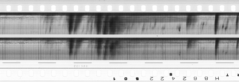 FR751142302_RDN_S_0311_1980_0249 PNG