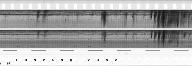 FR751142302_RDN_S_0311_1980_0307 PNG
