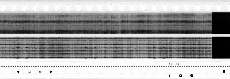 FR751142302_RDN_S_0319_1980_0198 PNG