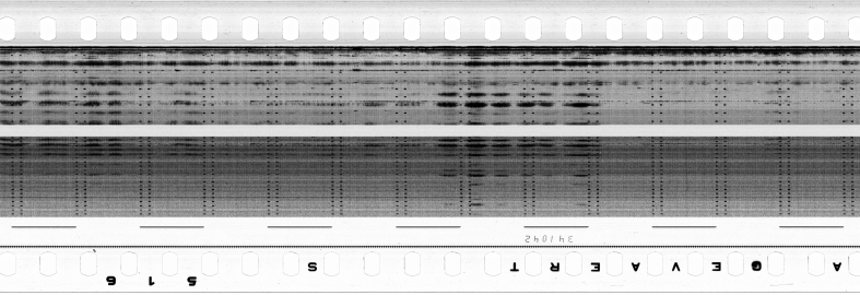 FR751142302_RDN_S_0347_1980_0065 PNG