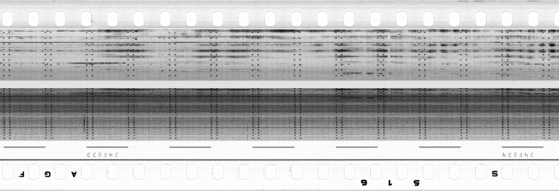 FR751142302_RDN_S_0347_1980_0224 PNG