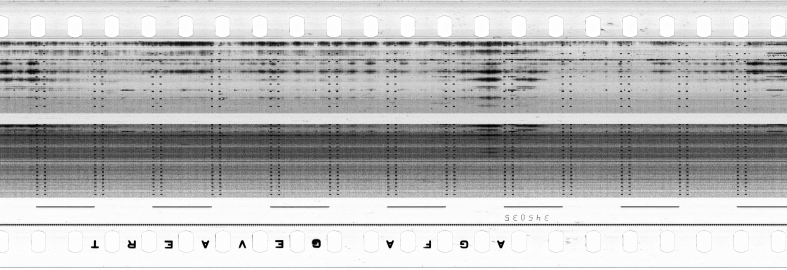 FR751142302_RDN_S_0347_1980_0225 PNG