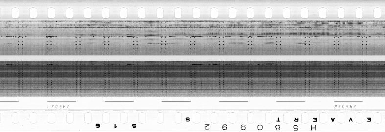 FR751142302_RDN_S_0347_1980_0256 PNG