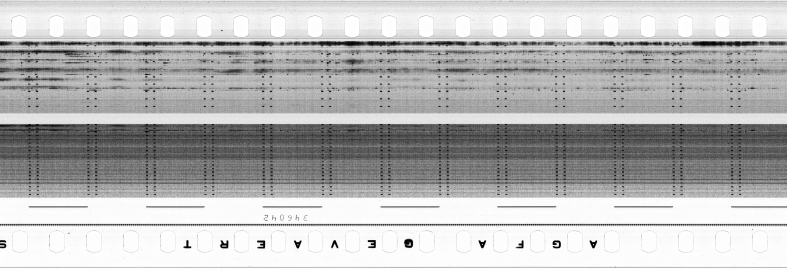 FR751142302_RDN_S_0347_1980_0261 PNG