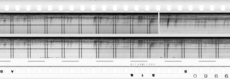 FR751142302_RDN_S_0349_1980_0238 PNG