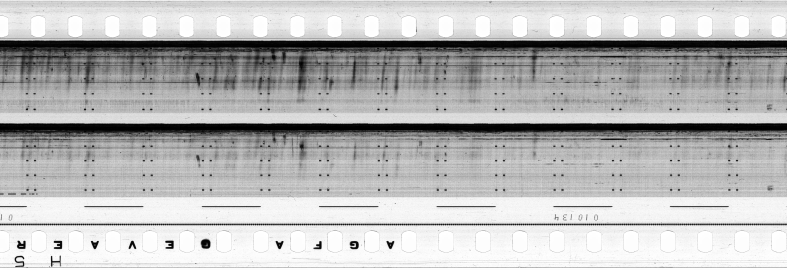 FR751142302_RDN_S_0350_1981_0062 PNG