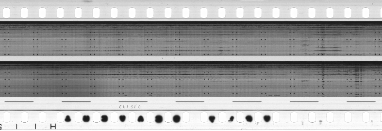 FR751142302_RDN_S_0351_1981_0034 PNG