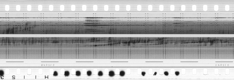 FR751142302_RDN_S_0351_1981_0052 PNG