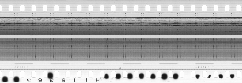 FR751142302_RDN_S_0351_1981_0109 PNG