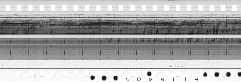 FR751142302_RDN_S_0351_1981_0220 PNG