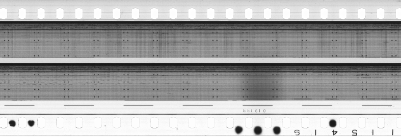 FR751142302_RDN_S_0351_1981_0277 PNG