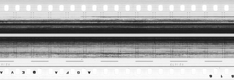 FR751142302_RDN_S_0352_1981_0042 PNG