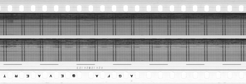 FR751142302_RDN_S_0352_1981_0254 PNG