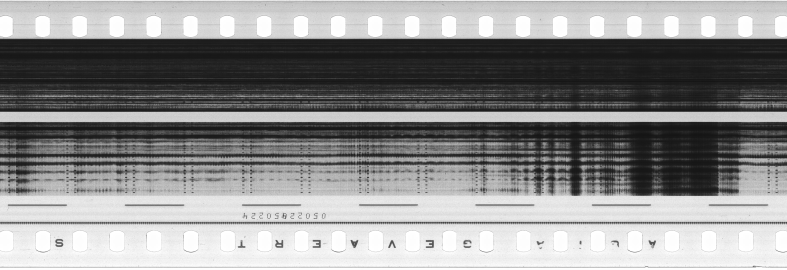 FR751142302_RDN_S_0356_1981_0033 PNG