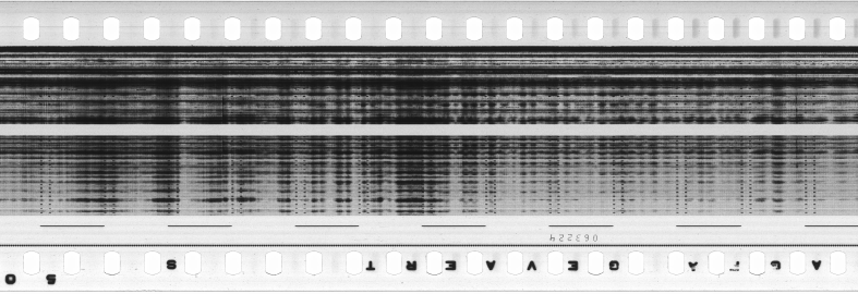 FR751142302_RDN_S_0357_1981_0014 PNG