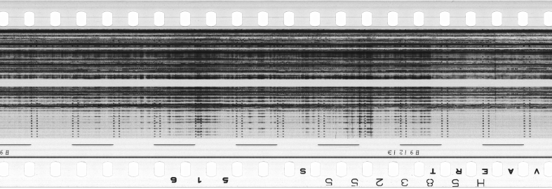 FR751142302_RDN_S_0359_1981_0258 PNG
