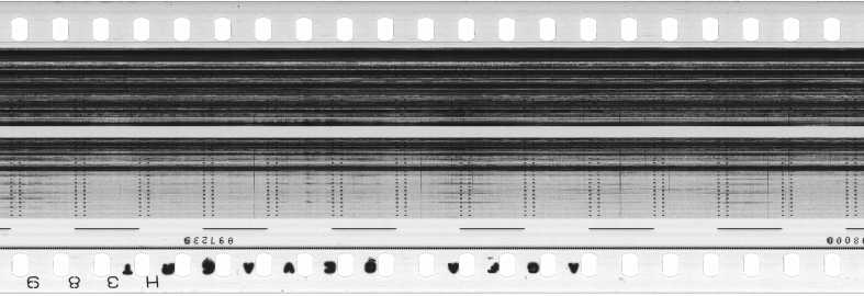 FR751142302_RDN_S_0360_1981_0155 PNG