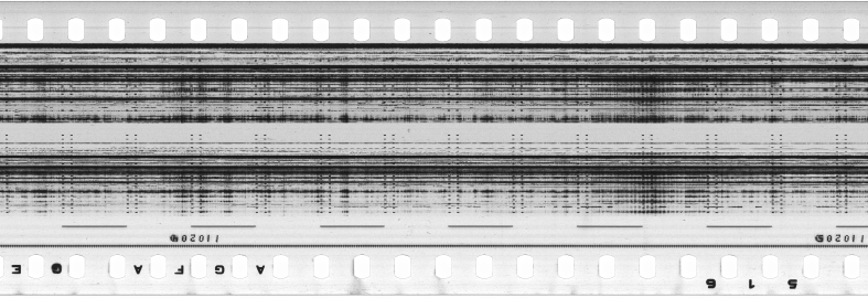 FR751142302_RDN_S_0361_1981_0031 PNG