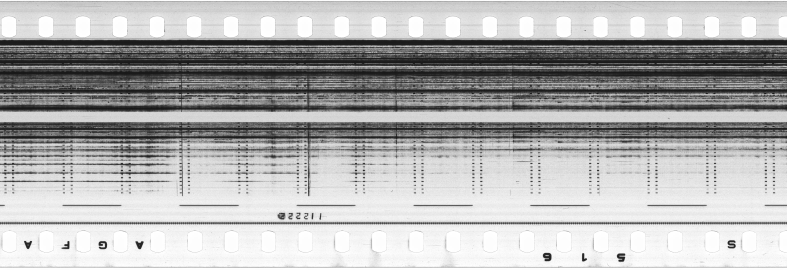 FR751142302_RDN_S_0361_1981_0162 PNG