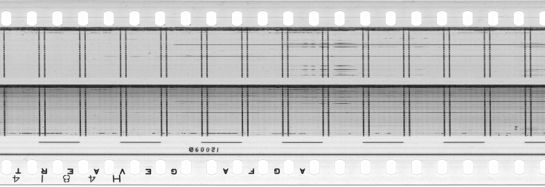 FR751142302_RDN_S_0363_1981_0047 PNG