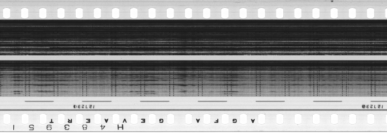 FR751142302_RDN_S_0364_1981_0184 PNG