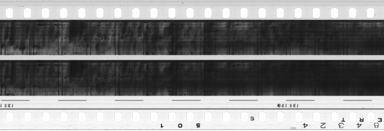 FR751142302_RDN_S_0365_1981_0305 PNG