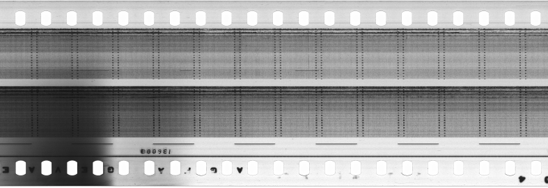 FR751142302_RDN_S_0366_1981_0048 PNG