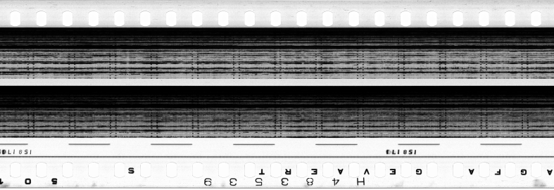 FR751142302_RDN_S_0369_1981_0277 PNG