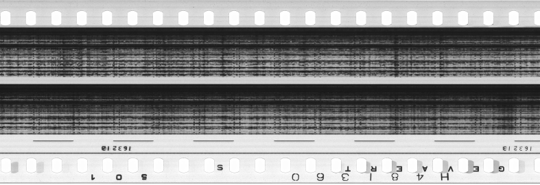 FR751142302_RDN_S_0370_1981_0251 PNG