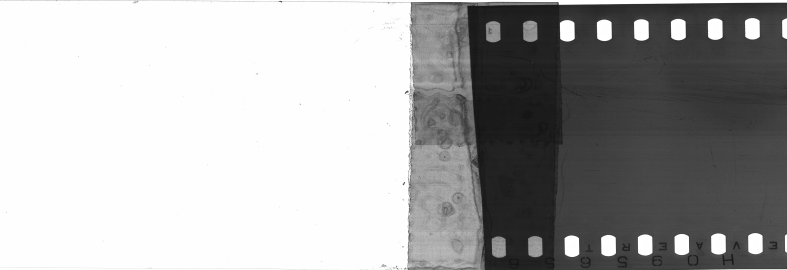 FR751142302_RDN_S_0371_1981_0005 PNG