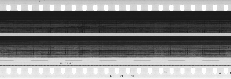 FR751142302_RDN_S_0371_1981_0223 PNG