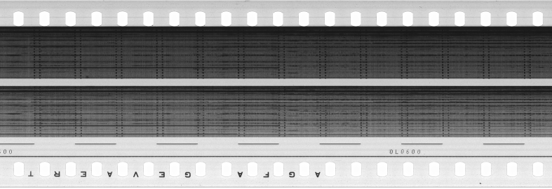 FR751142302_RDN_S_0371_1981_0254 PNG
