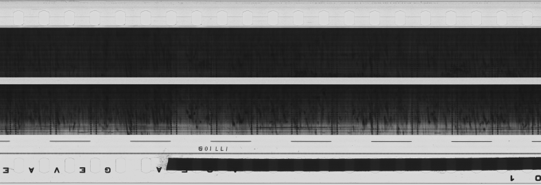 FR751142302_RDN_S_0372_1981_0120 PNG