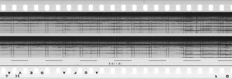FR751142302_RDN_S_0372_1981_0263 PNG