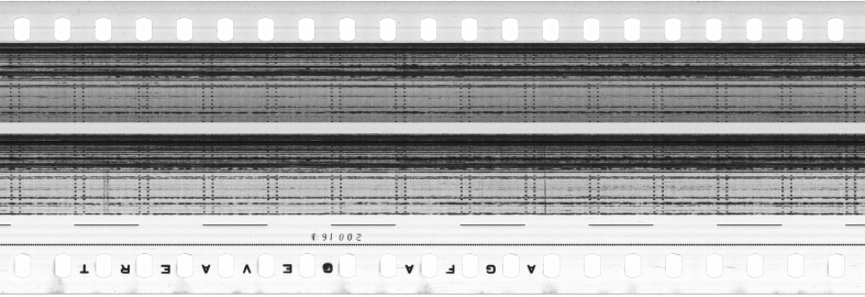 FR751142302_RDN_S_0374_1981_0307 PNG