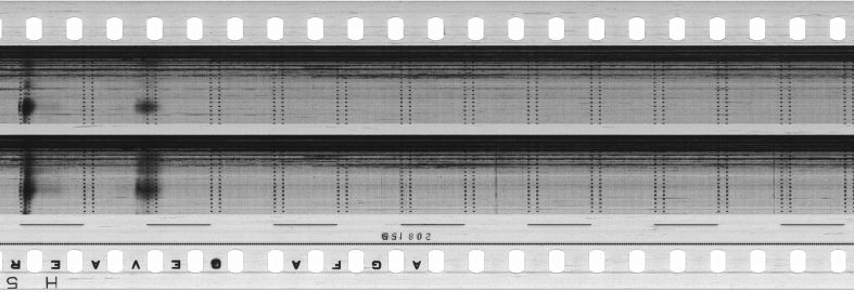 FR751142302_RDN_S_0375_1981_0212 PNG