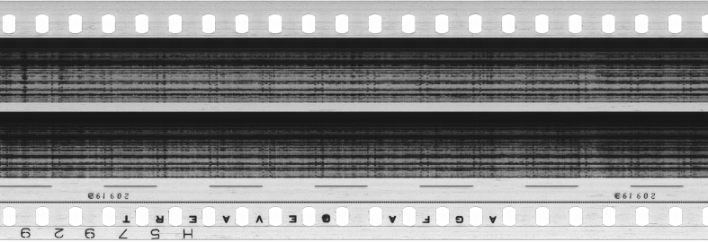 FR751142302_RDN_S_0375_1981_0275 PNG