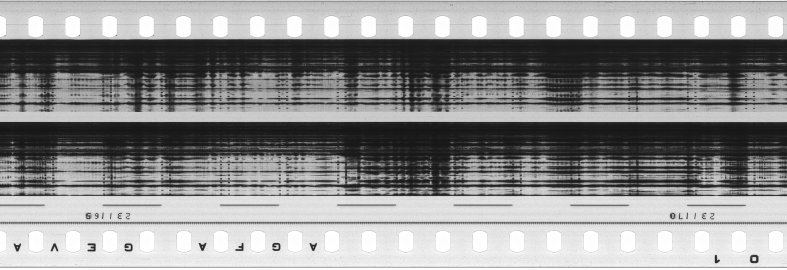 FR751142302_RDN_S_0378_1981_0274 PNG
