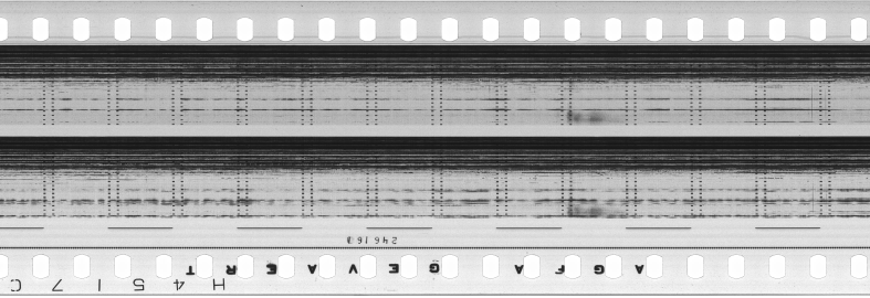 FR751142302_RDN_S_0380_1981_0118 PNG