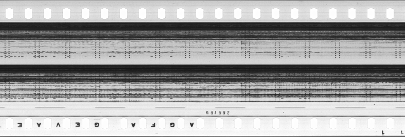 FR751142302_RDN_S_0381_1981_0030 PNG