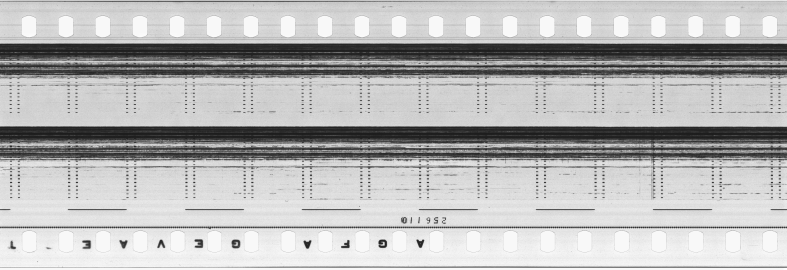 FR751142302_RDN_S_0381_1981_0048 PNG