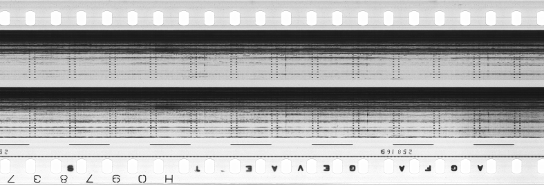 FR751142302_RDN_S_0381_1981_0147 PNG