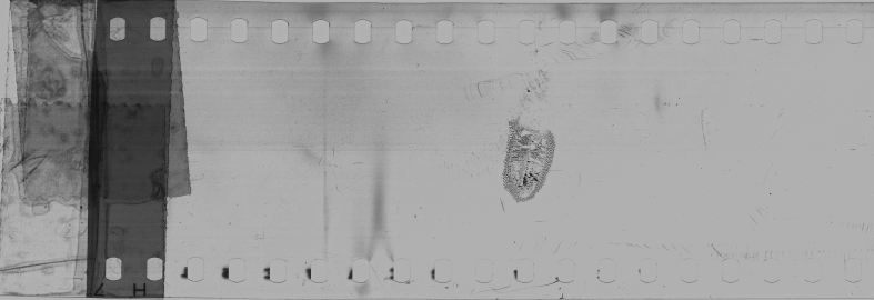 FR751142302_RDN_S_0382_1981_0003 PNG